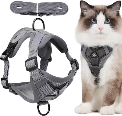 Sonstiges Katzenzubehör, Hauptbild