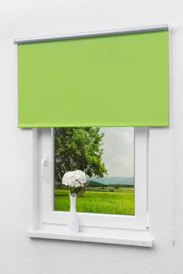 Produktbild von Lysel Outlet - Verdunkelungsrollo Thermo Grün, (B x H) 102.50cm x 175cm in grün/grün