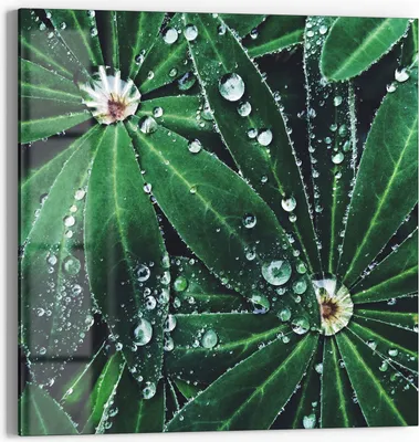 Produktbild von DEQORI Magnettafel Glas 50x50 cm 'Wasserperlenverzierung' beschreibbar Whiteboard