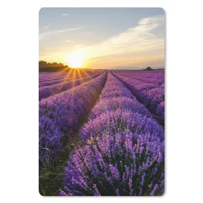 Produktbild von MuchoWow® Mauspad Mousepad Lavendel - Blumen - Sonnenuntergang - Lila 18x27 cm - Mousepads - Maus Mat - Pad - Mausunterlage