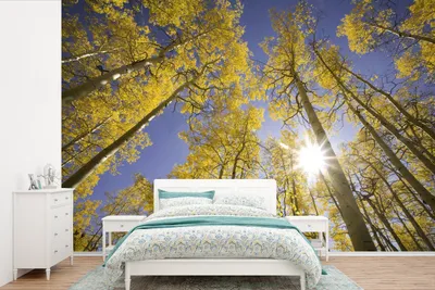Produktbild von MuchoWow® Fototapete für Wohnzimmer oder Schlafzimmer Wandtapete Vinyl Motivtapete Sonne - Bäume - Himmel - 450x300 cm - Gemusterte