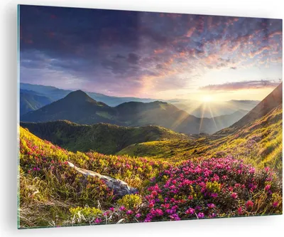 Produktbild von Bilder auf glas - Gebirge Wiese Landschaft Wald - 70x50cm - Glasbilder - Wandbilder - Kunstdruck - zum Aufhängen bereit - Wanddekoration aus Glas - Glas Bilder - Wandbild auf Glas - GAA70x50-3152