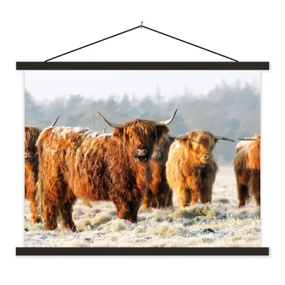 Produktbild von MuchoWow® Textilposter Schottische Highlander - Schnee - Wald 120x90 cm mit schwarzem Rahmen - Aufhänger für Poster