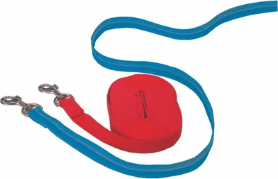 Produktbild von Kunststofflonge mit Handschlaufe & drehbarem Karabiner rot