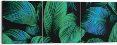 Produktbild von Bild auf Leinwand - Leinwandbild - 3 Teile - Blätter Pflanzen Exotik - 150x50cm - Wand Bild - Wanddeko - Wandbilder - Leinwanddruck - Bilder - Wanddekoration - Leinwand bilder - CA150x50-5066