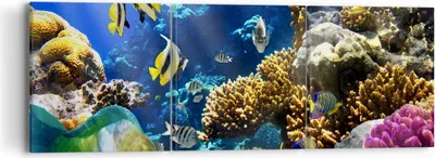 Produktbild von Bild auf Leinwand - Leinwandbild - Korallenriff Ozean Krabbe Fisch - 90x30cm - Wand Bild - Wanddeko - Leinwanddruck - Bilder - Kunstdruck - Wanddekoration - Leinwand bilder - Wandkunst - CA90x30-2662