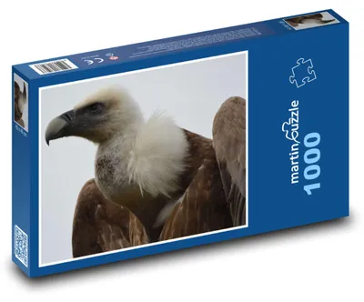Produktbild von Puzzle 1000 Geier - majestätischer Greifvogel - martinpuzzle