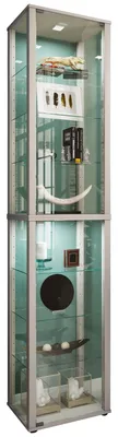 Zdjęcie produktu dla Szklana obudowa stojąca | Etui na wyświetlacz Szkło z bezpiecznym szkłem ESG | Wymiary ok. H. 227 x W. 50 x D. 38 cm | Stand display cabinet glass | Nowoczesne i oszczędne miejsce | Szklana szafka ekspozycyjna – Kavisa XL