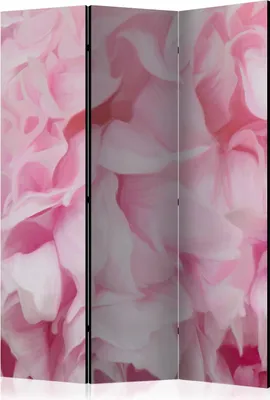 Produktbild von 3-teiliger Doppelseitiger Vlies Paravent - azalea (pink) 135x172 cm Blumen b-C-0433-z-b