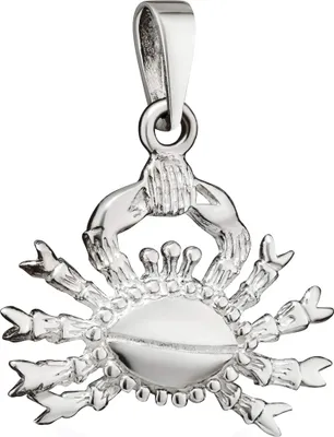 Produktbild von NKlaus 20x20mm Kettenanhänger Krabbe 925 Silber Detailliert gearbeitetes Kettencharm 15285