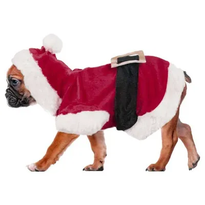 Produktbild von Karlie Flamingo Hundejacke Weihnachtskostüm - 25 cm