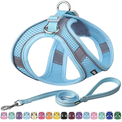 Image de Harnais pour chien avec laisse, taille XXS, bleu, respirant et réfléchissant