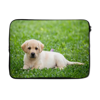 Produktbild von MuchoWow® Laptop Hülle 13 Zoll Labrador-Welpe im Gras Laptoptasche - Laptophülle - Sleeve - Rundumschutz