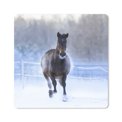 Produktbild von MuchoWow® Mauspad Mousepad Pferd - Schnee - Winter - Zaun 20x20 cm - Mousepads - Maus Mat - Pad - Mausunterlage - Desk Mat - Bureauartikeln