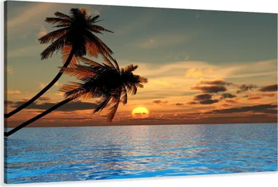 Obrázek produktu pro Obraz 80 x 60 cm na plátně palma 4144 - Obrazy/nástěnný obraz/umělecký tisk jsou již zarámované