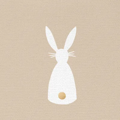 Immagine prodotto di Tovaglioli 33x33 cm in rilievo - Bunny Canvas taupe