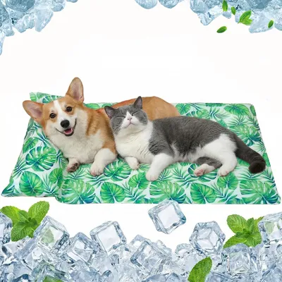 Produktbild von Famanu Kühlmatte für Hunde aus ungiftigem Gel - faltbar und ideal für Haustiere