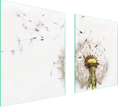 Produktbild von Glasschutzplatte Für Herd 85X52 Blume
