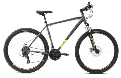 Produktbild von Capriolo OXYGEN 29"/19" Mountainbike gelb-grau