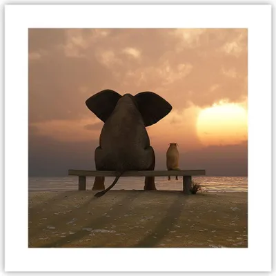Produktbild von Poster - Poster ohne Rahmen - Elefant Ufer Meer - 40x40 cm - Wand Bild - Wanddeko - Wandbilder - Kunstposter - Wandposter - Bilder - Kunstdruck - Wanddekoration - Wandbild - P2XAC40x40-3555