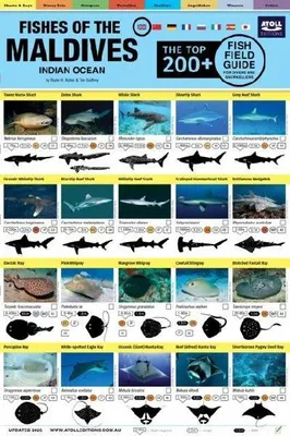 Produktbild von Maldives Fish Field Guide "Top 200+"
