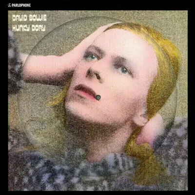 Image de David Bowie - Hunky Dory (picture disc) (LP)