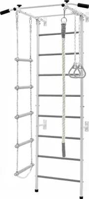 Produktbild von Sprossenwand Smart mit Klimmzugstange und Zubehör – Wandmontage, bis 100 kg
