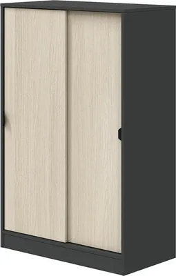 Immagine prodotto di Dmora Guardaroba 2 Ante Lewiston 40x119h cm Grigio Antracite, 2 Ante 3 Vani