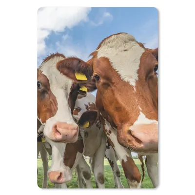 Produktbild von MuchoWow® Mauspad Mousepad Kühe - Tiere - Weide - Natur 18x27 cm - Mousepads - Maus Mat - Pad - Mausunterlage
