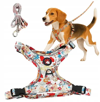 Produktbild von Verstellbares, reflektierendes Hundegeschirr für mittlere Hunde, druckfrei