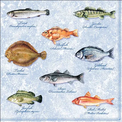 Image de Serviettes de table Lunch - Serviettes de table Lunch - Format : 33 x 33 cm - 3 plis - 20