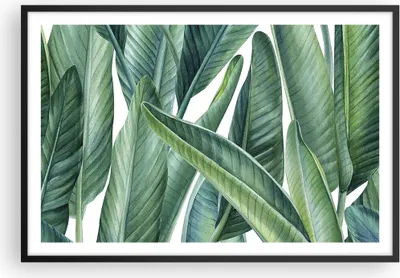 Produktbild von Gerahmtes Poster - Schwarzer Rahmen - Exotisch Blätter Grün - 91,5x61 cm - Wand Bild - Wanddeko - Wandbilder - Kunstposter - Wandposter - Bilderrahmen - Bilder - Kunstdruck - Wandbild P2BAA91x61-4258