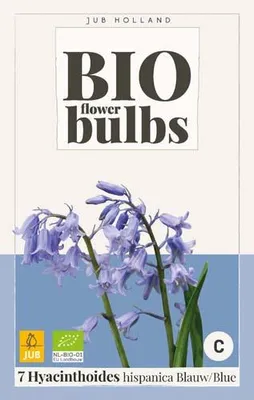 Artikelbild 1 von 'BIO Spanische Traubenhyazinthe (7 Stück)' aus der Kategorie Traubenhyazinthen