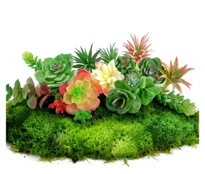Produktbild von Künstliche Sukkulenten und Miniatur Gartengebäude für die Dekoration
