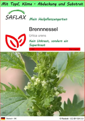 Produktbild von SAFLAX Garden to go - Brennnessel - Urtica urens - 150 Samen - Mit Topf, Klima - Deckel und Anzuchtsubstrat