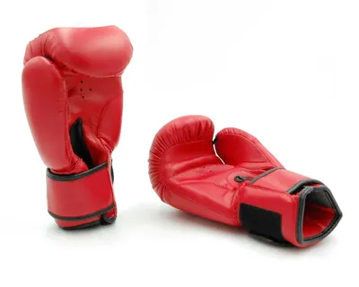 Immagine prodotto di Evolution PRO RS-501 guantoni da boxe in - 10 oz