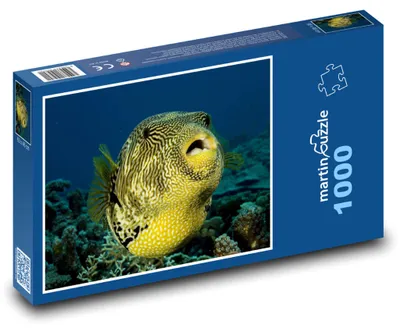 Obrázek produktu pro Puzzle 1000 Čtverzubec v korálovém útesu - martinpuzzle
