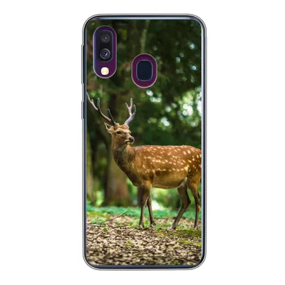 Produktbild von MuchoWow® Handyhülle Schutzhülle Hülle für Samsung Galaxy A40 Rotwild - Wald - Tier Silikon Softcase Handy Hülle - Handy-Tasche