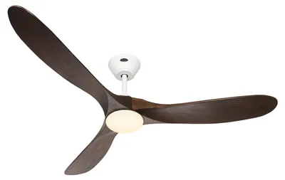Immagine prodotto di ECO GENUINO L 152, Ventilatore con Luce, CasaFan