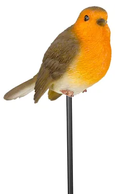 Image de Robin Plant Pal - PLP-099