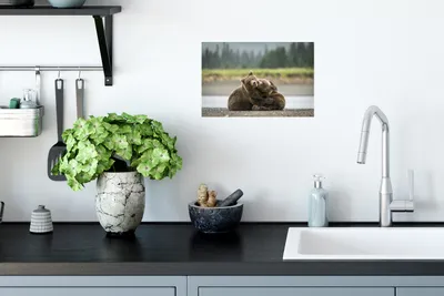 Produktbild von MuchoWow® - Wierderverwendbar - Selbstklebend