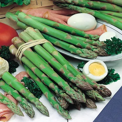 Produktbild von Spargel Gemüse Knolle Asparagus Grünspargel Gemeiner Spargel Gijnlim 1 St.