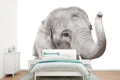 Produktbild von MuchoWow® Fototapete für Wohnzimmer oder Schlafzimmer Wandtapete Vinyl Motivtapete Elefant - Tiere - Grau - Natur - 600x400 cm - Vinyltapeten