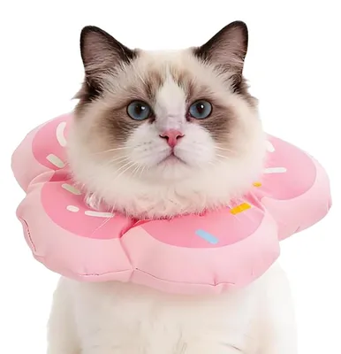 Imagen del producto de Collar protector para perros y gatos