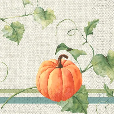 Immagine prodotto di Tovaglioli Duni Heritage Harvest 33x33cm 3 veli 50 pezzi 1 confezione