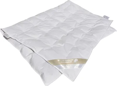 Produktbild von Betten Hofmann Sibiria Kinder Sommerdecke Daunendecke 100x135 cm 100% Wildgänse