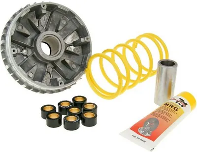 Produktbild von Variomatik MALOSSI Multivar kompatibel für YAMAHA Majesty 250-300 BENELLI VELVET