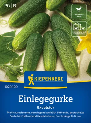 Artikelbild 2 von 'Einlegegurke Excelsior F1' aus der Kategorie Einlegegurkensamen