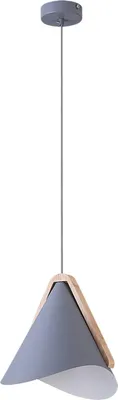 Productafbeelding van Rabalux 6649 Hanglamp met 1 spot, Neva, E27, grijs, industriële stijl, 24,5 cm
