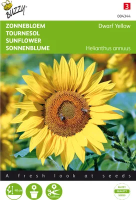 Image de Tournesol, variété "Niedrig Gelb" | Graines de tournesol de Buzzy Seeds [Date de péremption : 07/2026]